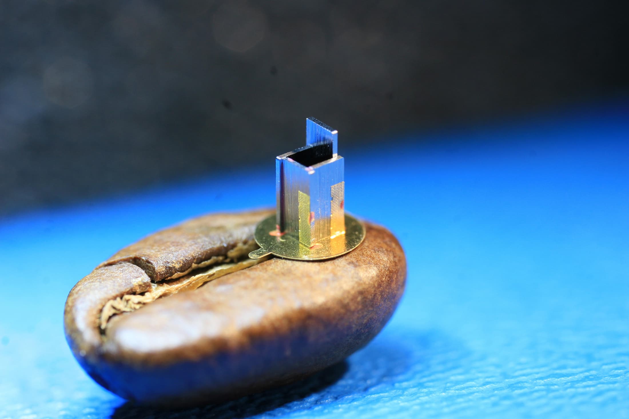 a tiny electronic device sitting on a coffee bean